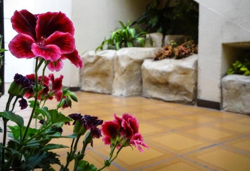 Standard Trippelrum, Mariscal Inn & Suites