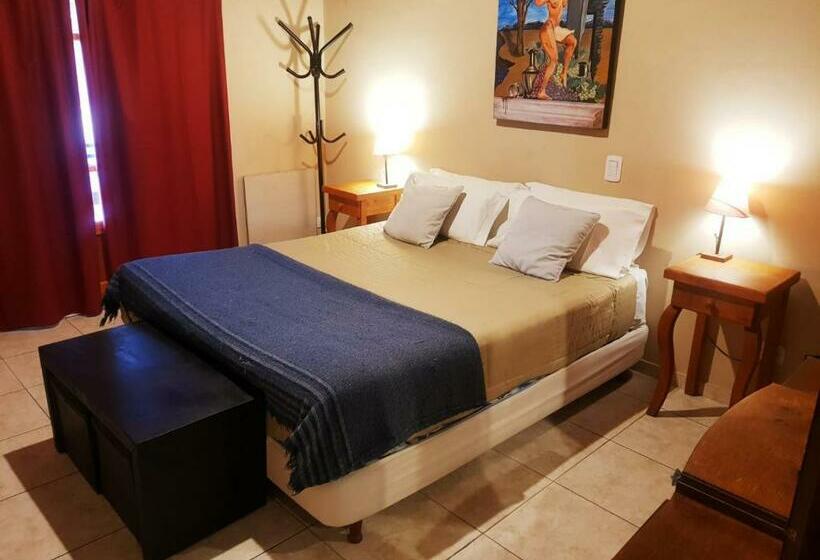 Номер Стандарт, Posada Cavieres Wine Farm