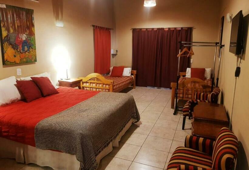 Номер Стандарт, Posada Cavieres Wine Farm