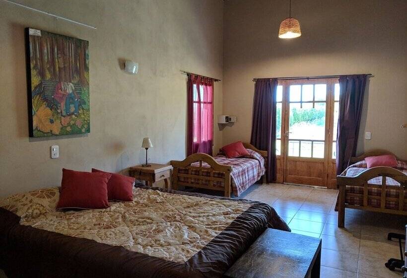 Номер Стандарт, Posada Cavieres Wine Farm