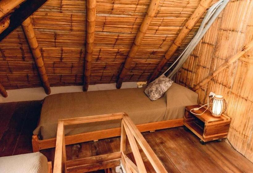 غرفة قياسية رباعية, Tiki Limbo