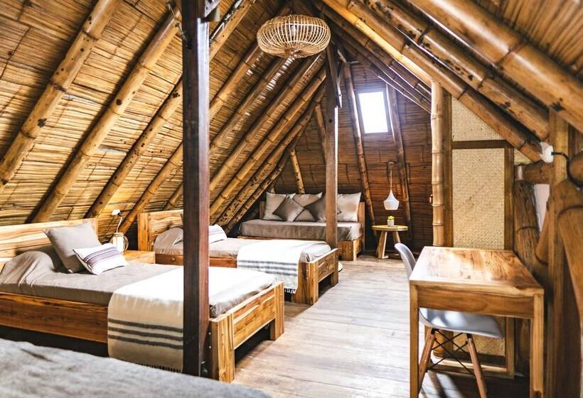 غرفة قياسية, Tiki Limbo