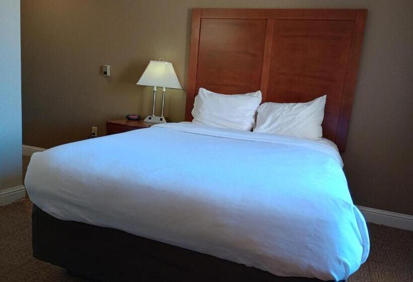 Номер Стандарт, Samir Stay At Nw Expressway