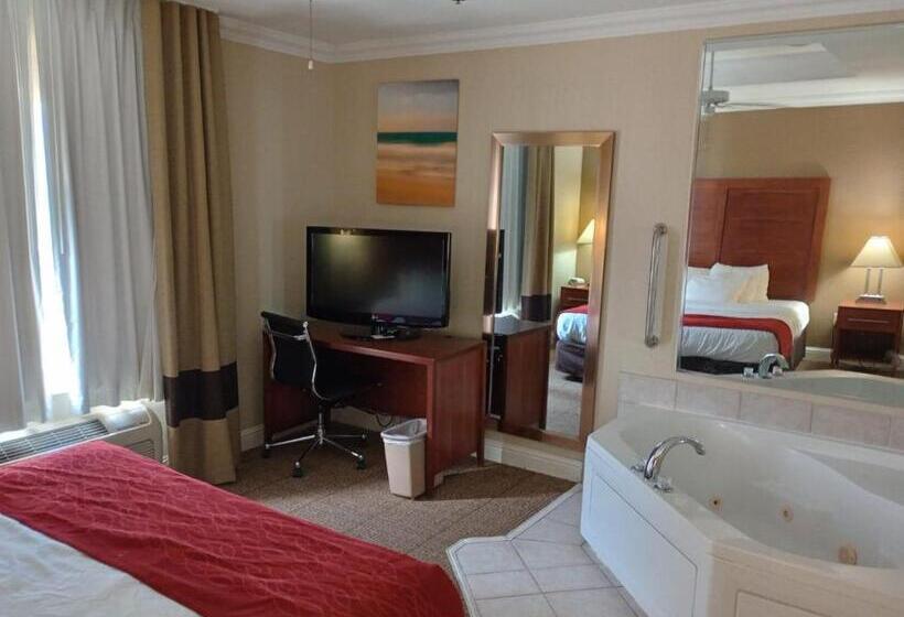 Стандартный Номер Кровать Кинг, Samir Stay At Nw Expressway