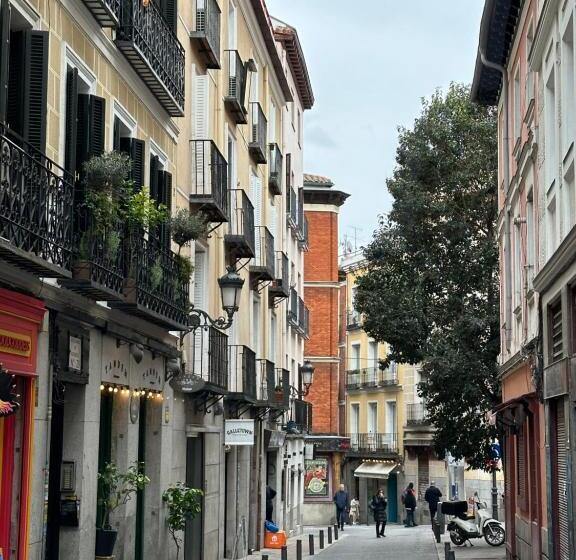 اتاق سوپریور چهار تخته, The Loft Hostel Lavapies