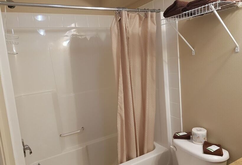 חדר סטנדרט שתי מיטות זוגיות, Avalon Inn