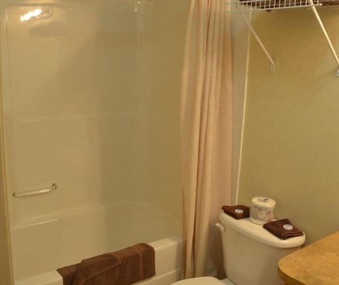 带2个双人床的标准工作室, Avalon Inn