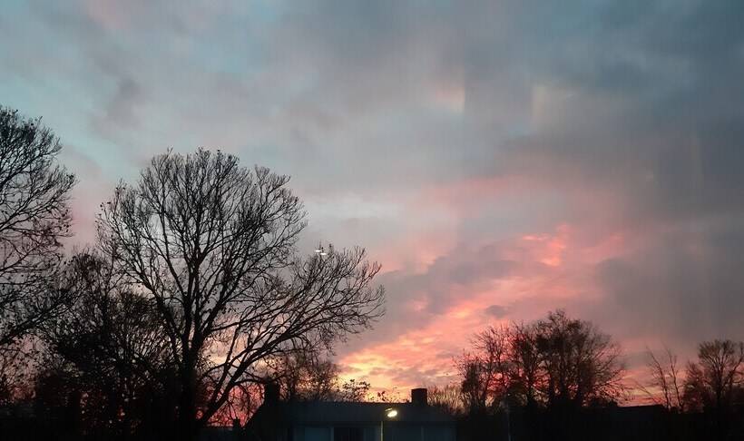 스탠다드 싱글 룸, B&b Oosterpark