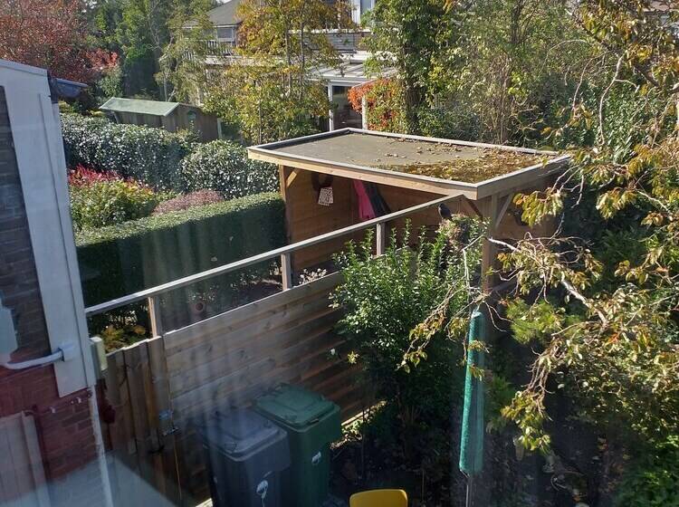 스탠다드 싱글 룸, B&b Oosterpark