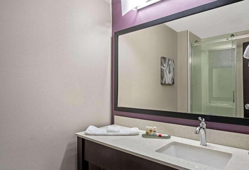 غرفة قياسية سرير كينج لذوى الإحتياجات الخاصة, La Quinta By Wyndham York