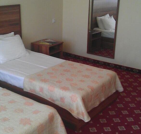 اتاق اکونومی, Silk Way