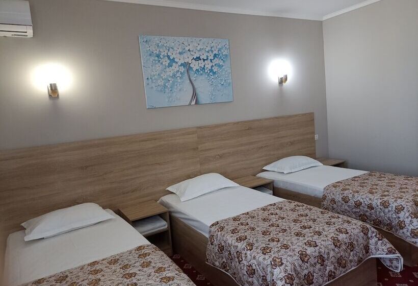 اتاق استاندارد سه نفره, Silk Way