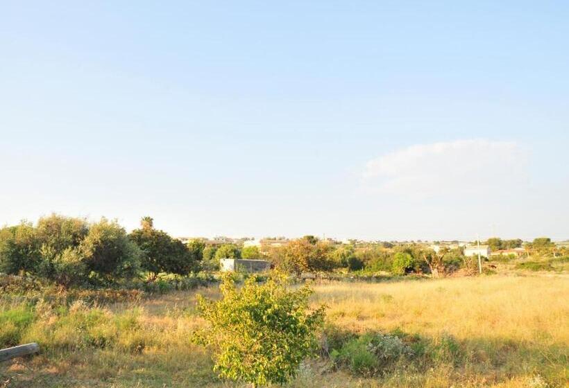 Апартаменты 1 Спальня с Террасой, Residence Solemare