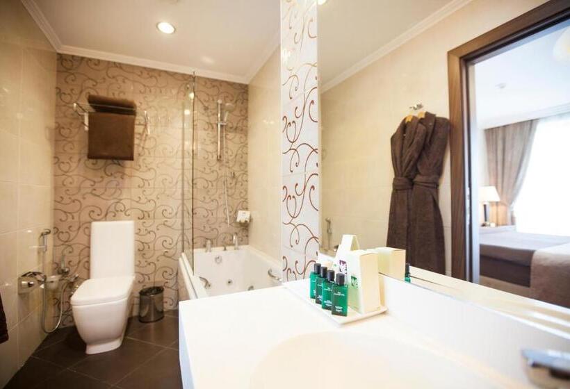 سوییت اجرایی, Chinar Hotel & Spa Naftalan