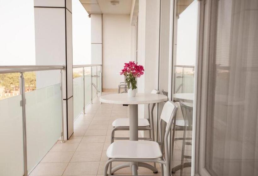 سوییت اجرایی, Chinar Hotel & Spa Naftalan