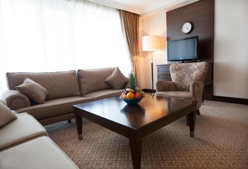 سوییت اجرایی, Chinar Hotel & Spa Naftalan