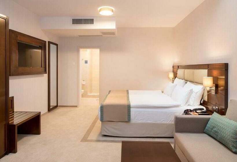 اتاق لوکس, Concorde Old Bucharest