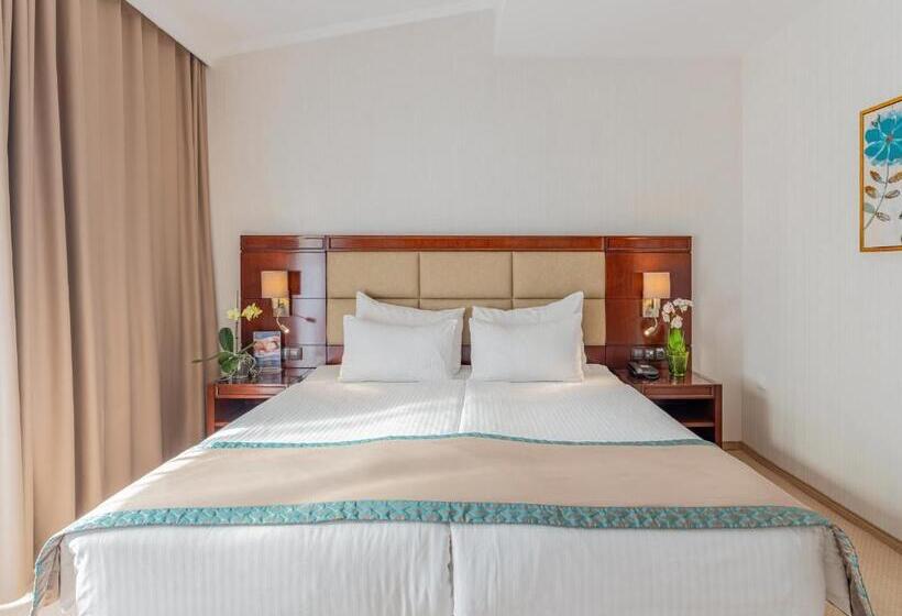 اتاق سوپریور, Concorde Old Bucharest