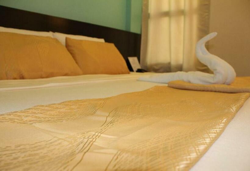 디럭스 룸 킹사이즈 침대, Coron Visitors