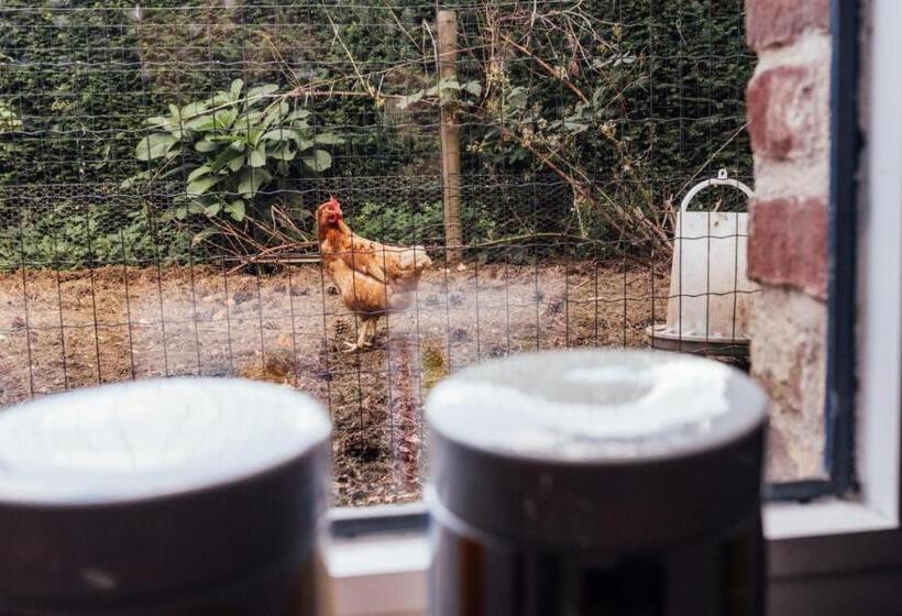 带2个卧室的公寓, De Zwarte Stok