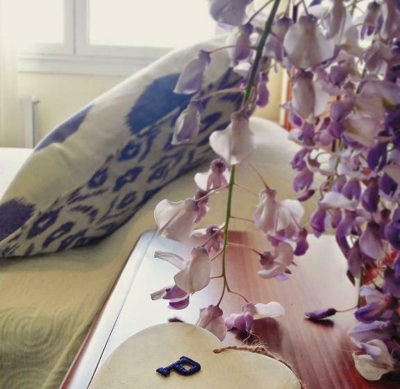 Номер Стандарт, Panorama Tapia