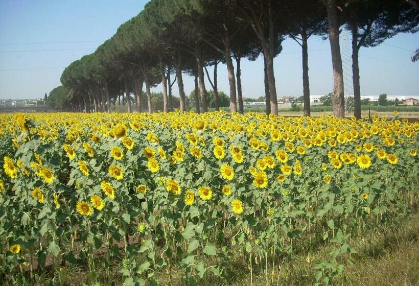 标准工作室, Agriturismo Pantano Borghese