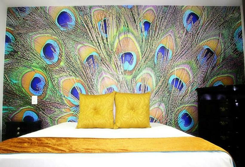 スタンダードルーム, Jardines Del Caney