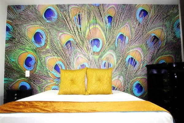 スタンダードルーム, Jardines Del Caney