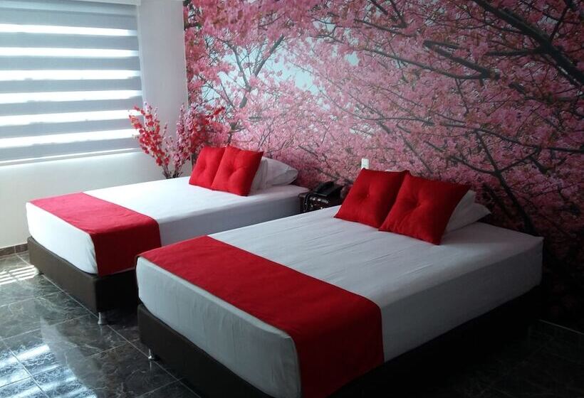 スタンダードルーム, Jardines Del Caney