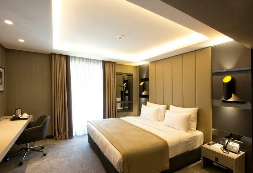 スタンダードルーム, Cityloft 81