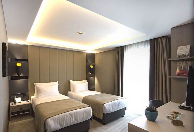 スタンダードルーム, Cityloft 81