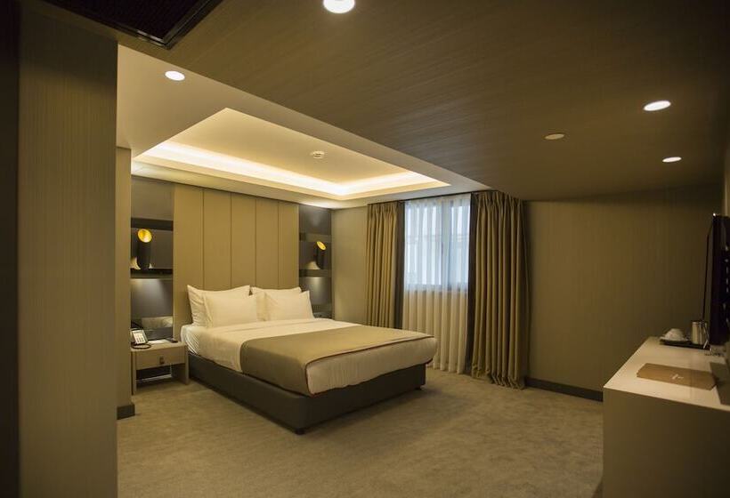 スタンダードルーム, Cityloft 81