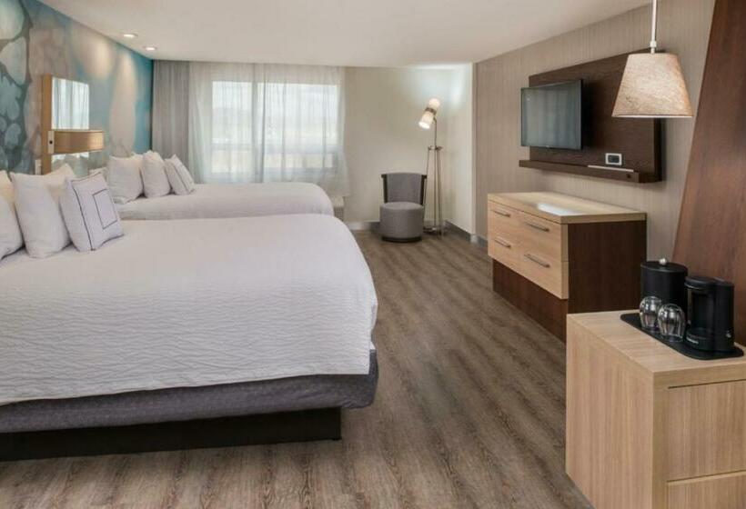 חדר סטנדרט, Courtyard By Marriott Temecula Murrieta