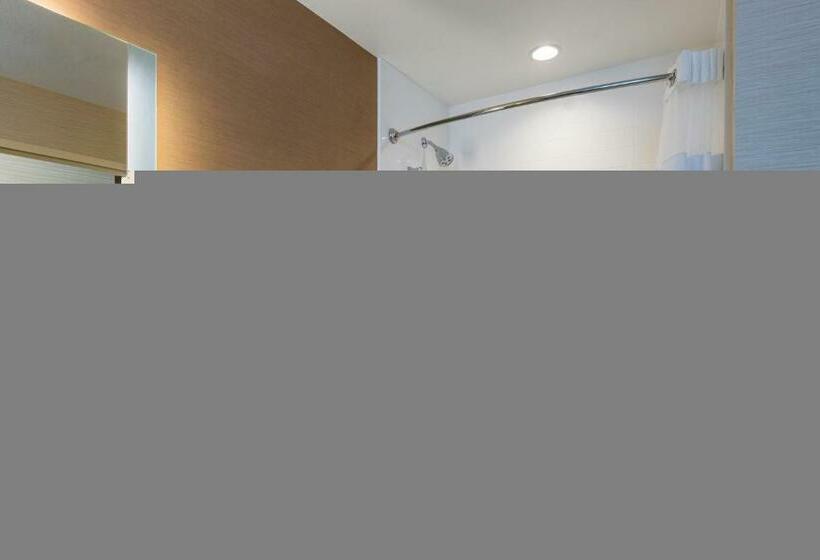 带大床的套房, Fairfield By Marriott Inn & Suites Palm Desert Coachella Valley