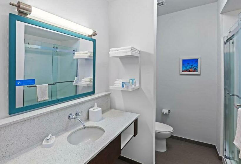 キングサイズベッドのエクゼクティブルーム, Hampton Inn Ozona