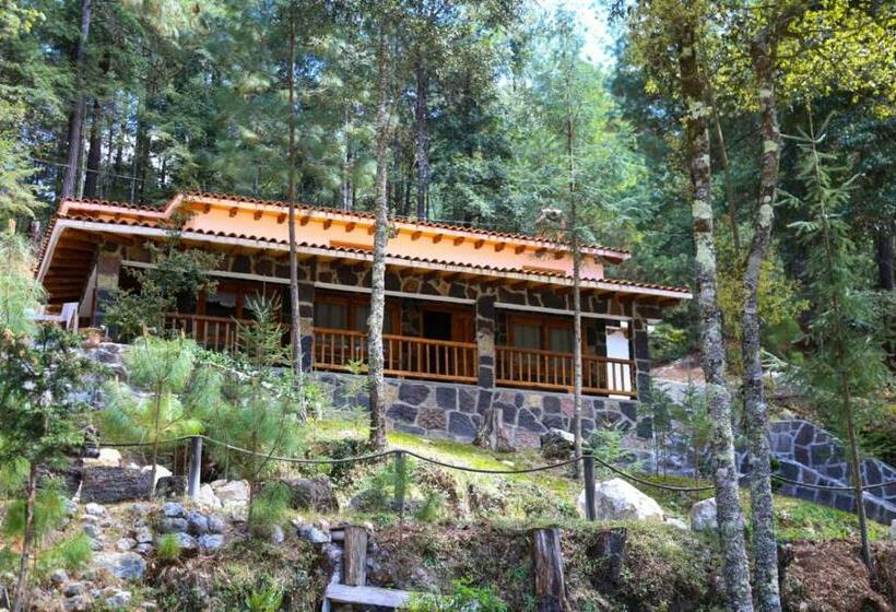 غرفة سوبيريور عائلية, Los Azufres Spa Natural