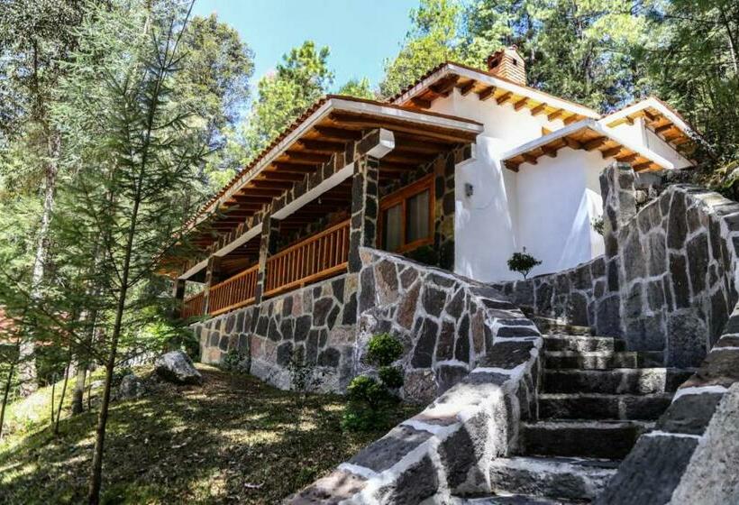 スーペリアファミリールーム, Los Azufres Spa Natural