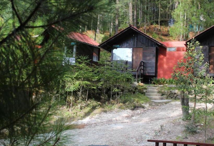 غرفة قياسية, Los Azufres Spa Natural