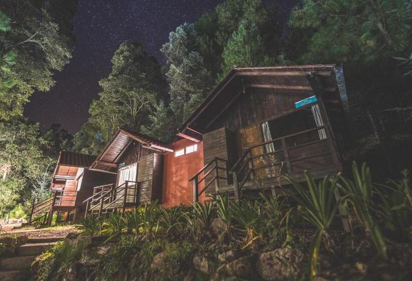 スタンダードルーム, Los Azufres Spa Natural