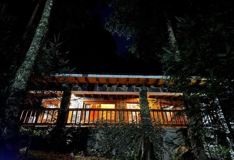 غرفة سوبيريور عائلية, Los Azufres Spa Natural