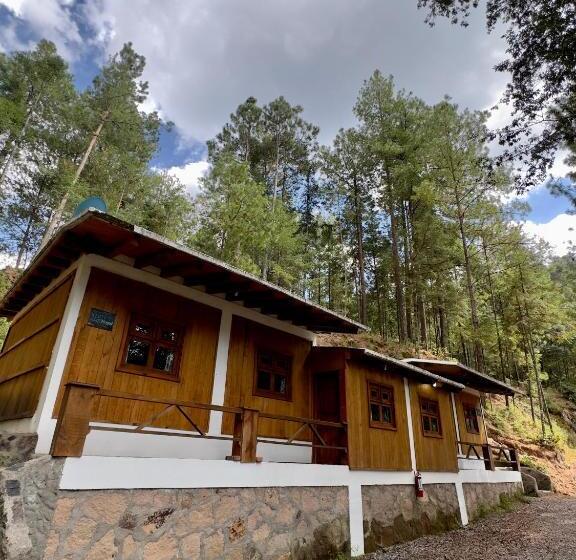 غرفة قياسية رباعية, Los Azufres Spa Natural