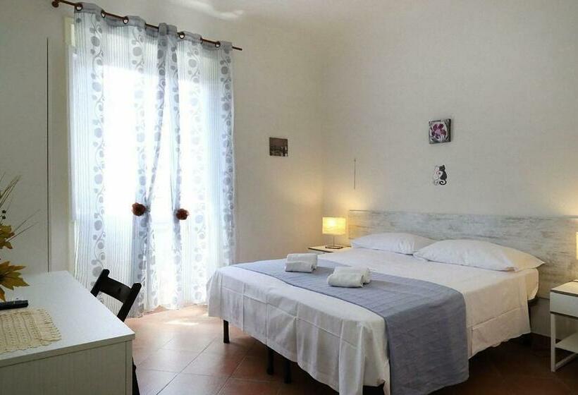 اتاق استاندارد, Mia Palace