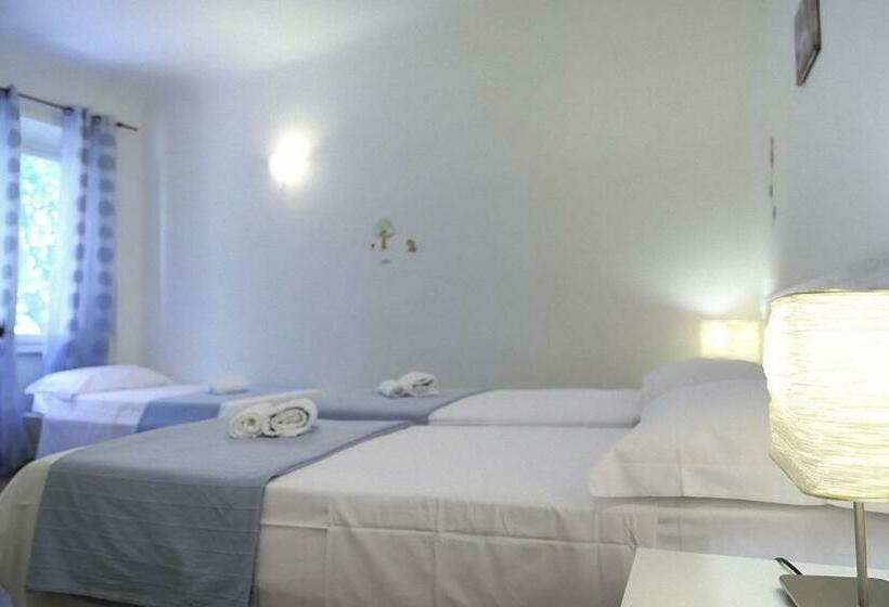 اتاق استاندارد سه نفره, Mia Palace