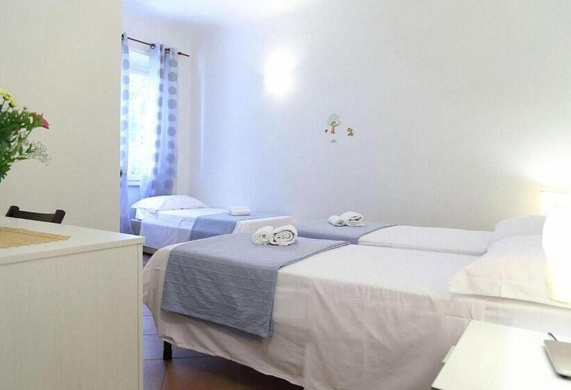 اتاق استاندارد سه نفره, Mia Palace