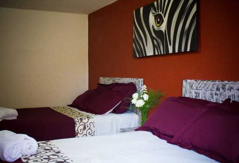 スイート, & Suites Cerro Roj0