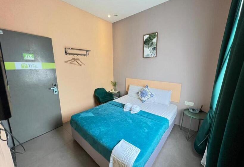 Premium Oda, The Tree Boutique