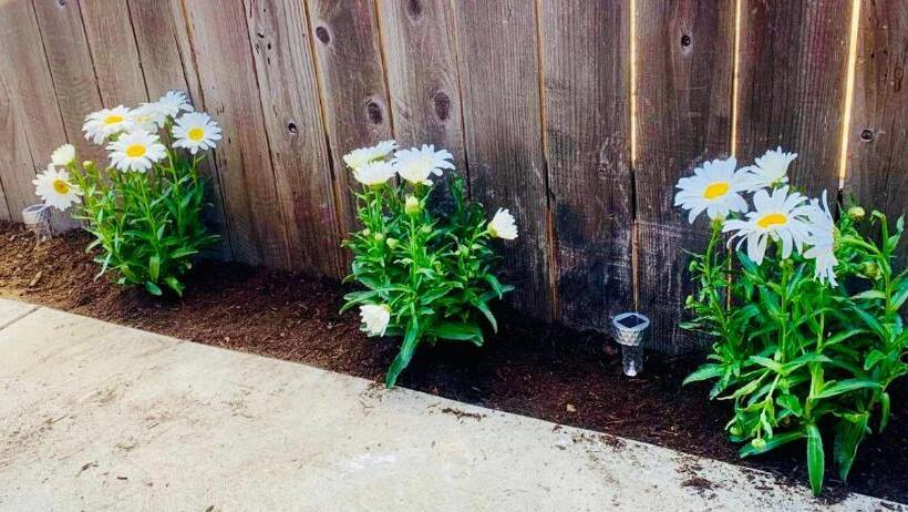 اتاق استاندارد سه نفره, Remodeled Contemporary Guest Suites House In Mira Mesa,san Diego,near La Jolla,del Mar, Rancho Santa