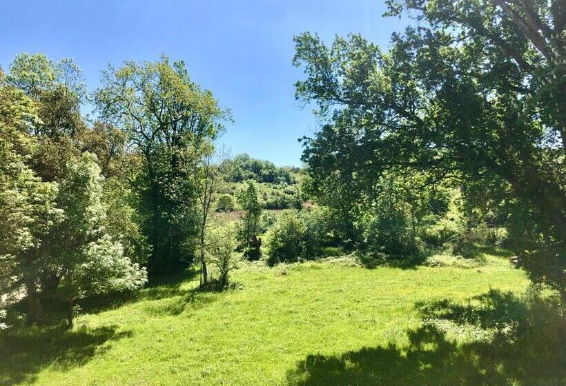 スーペリアースイート, Chateau De La Coutere