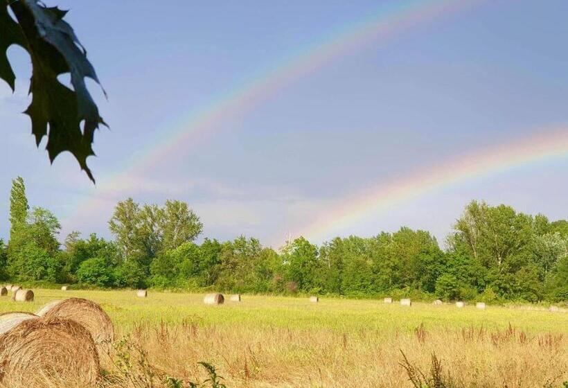 キングサイズベッドのデラックススイート, Chateau De La Coutere