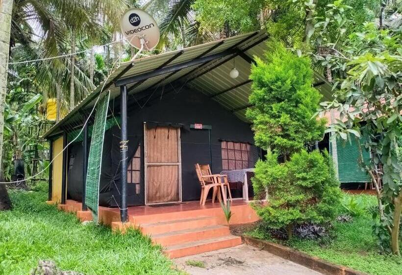 Номер Стандарт, Kabini Farm Stay